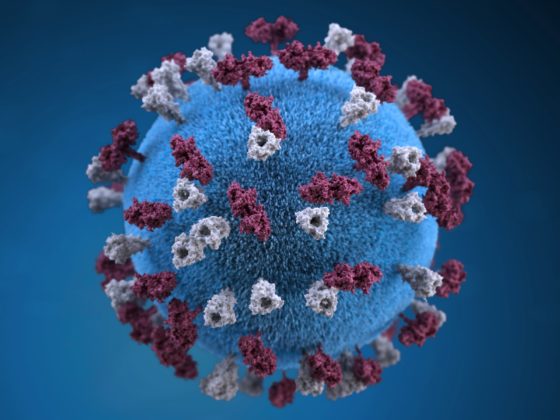 Coronavirus