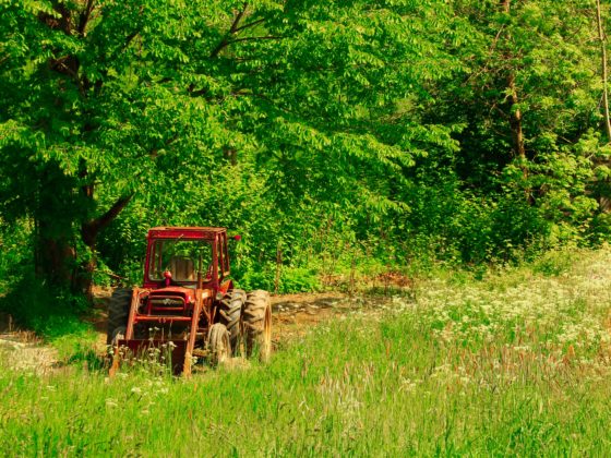 Coopérative Approvisionnements Biologiques